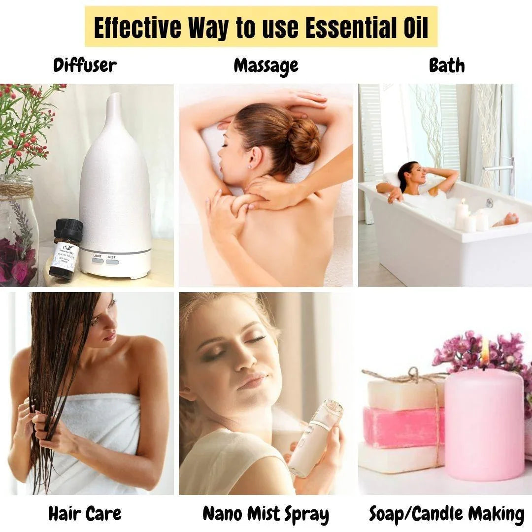 PAI Wholesale Bulk Essential Oil- Lemon Eucalyptus