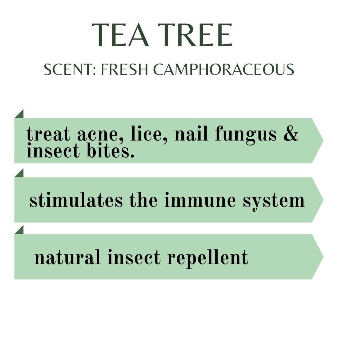 PAI - Tea Tree Organic Essential Oil