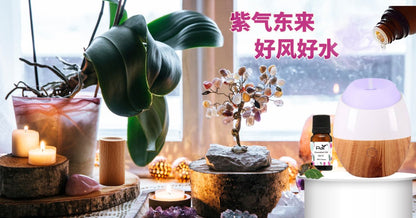 PAI吉祥佛手香薰套装风水香薰系列
