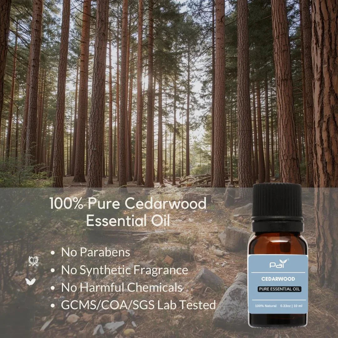 PAI Wholesale Cedarwood Essential Oil – Warm Woody Grounding