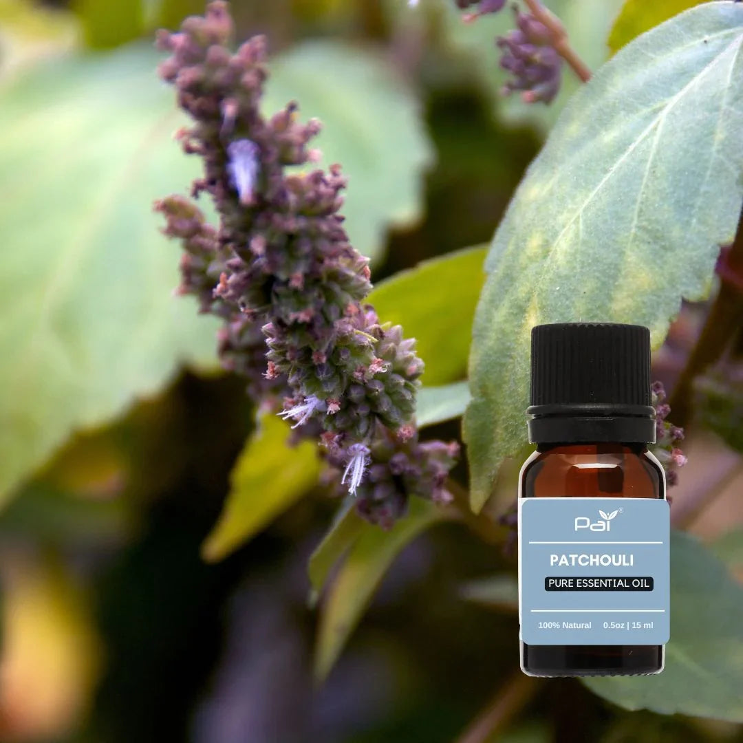 PAI - Patchouli Essential Oil