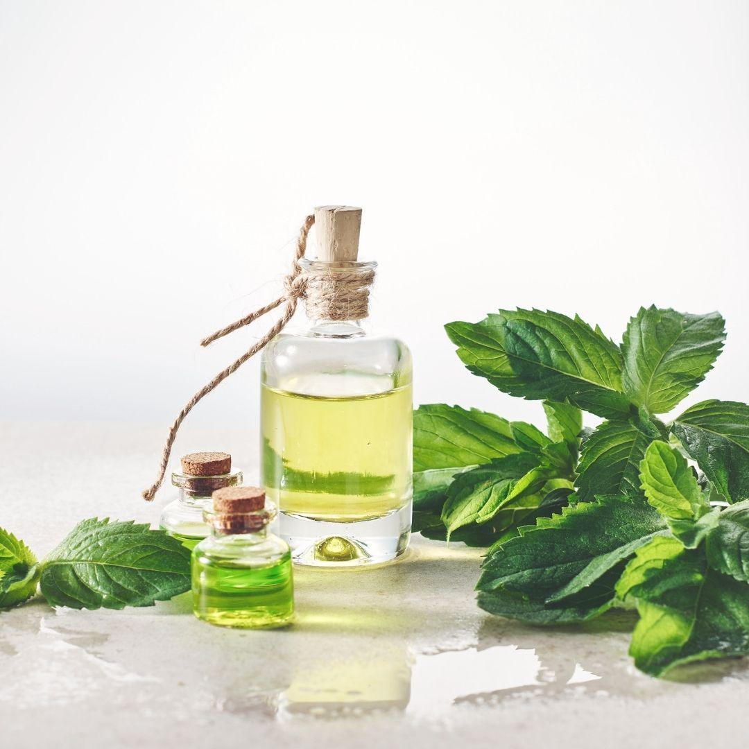 PAI-薄荷精油