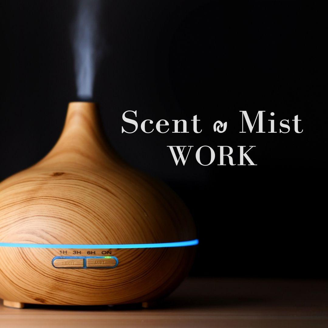 PAI - Ginger Essential Oil