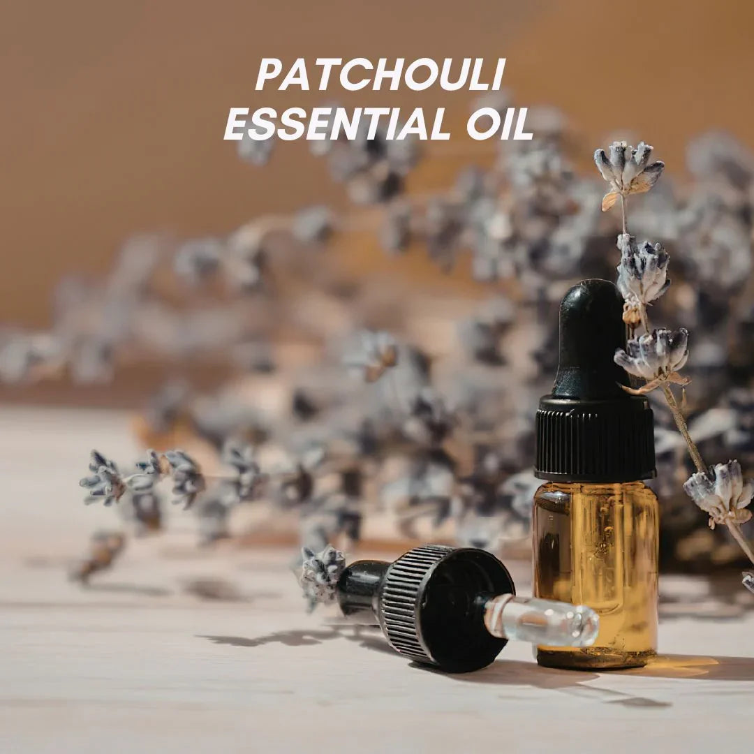 PAI Wholesale Patchouli Essential Oil – Rich Earthy Sensual