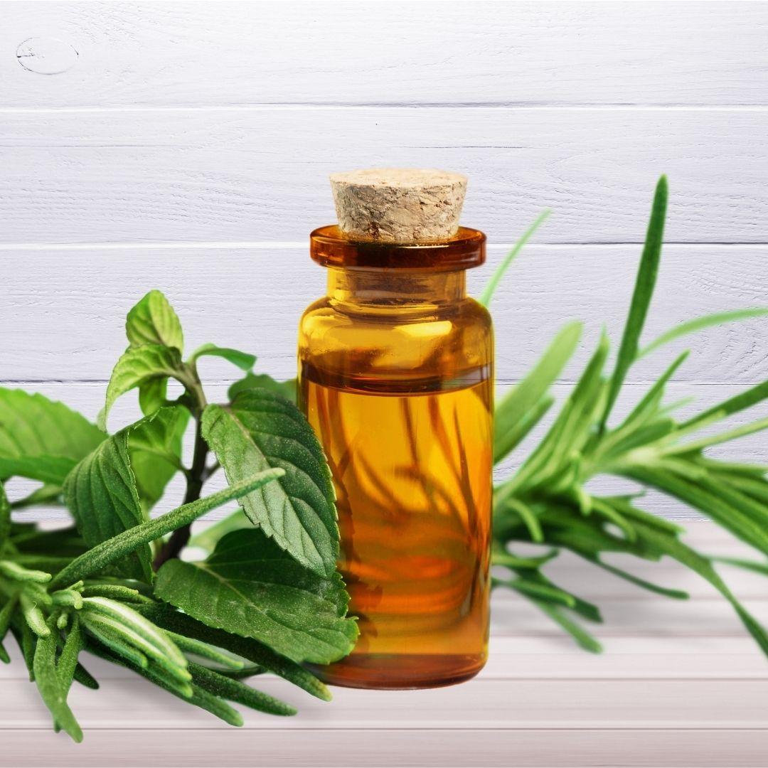 PAI-茶树精油