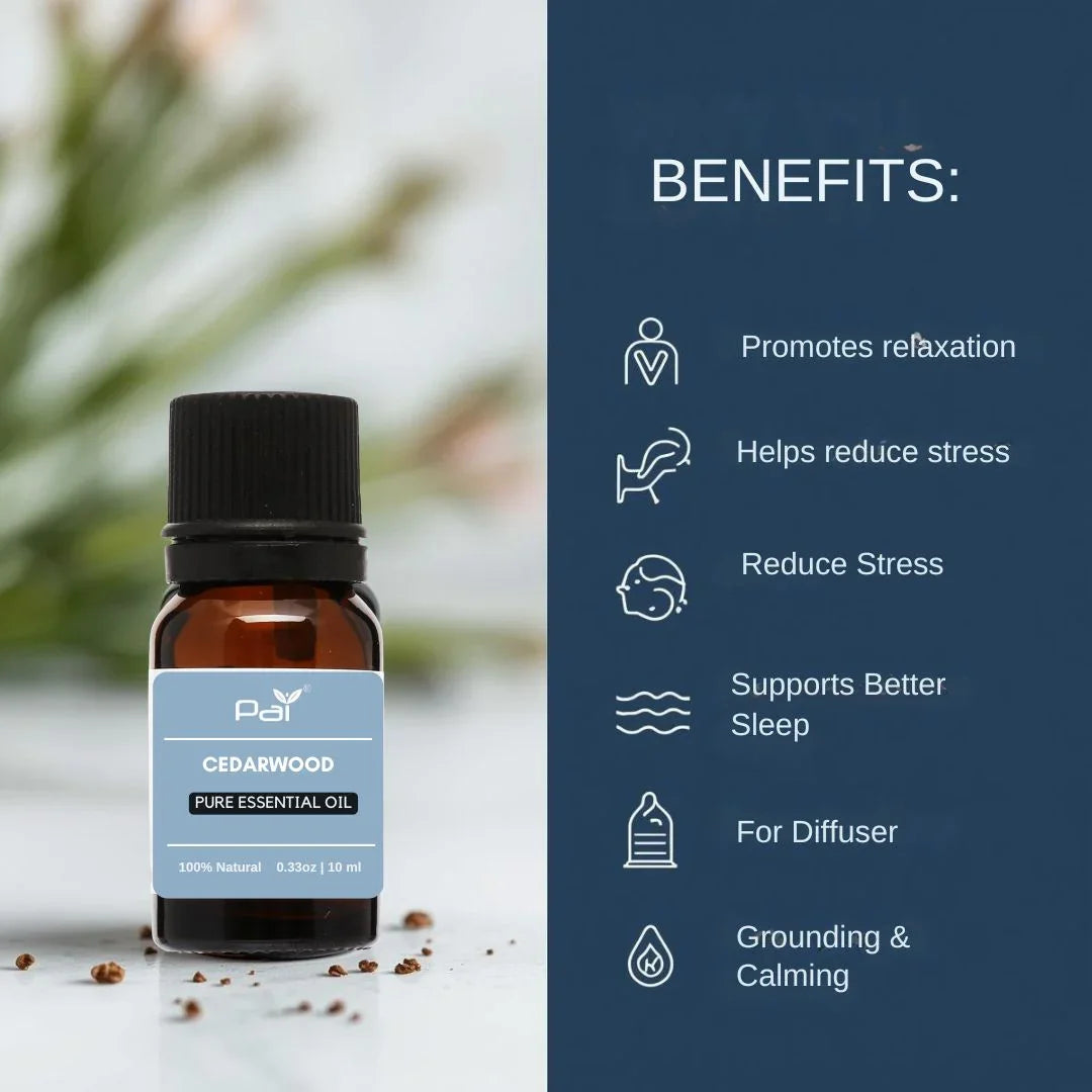 PAI Wholesale Cedarwood Essential Oil – Warm Woody Grounding