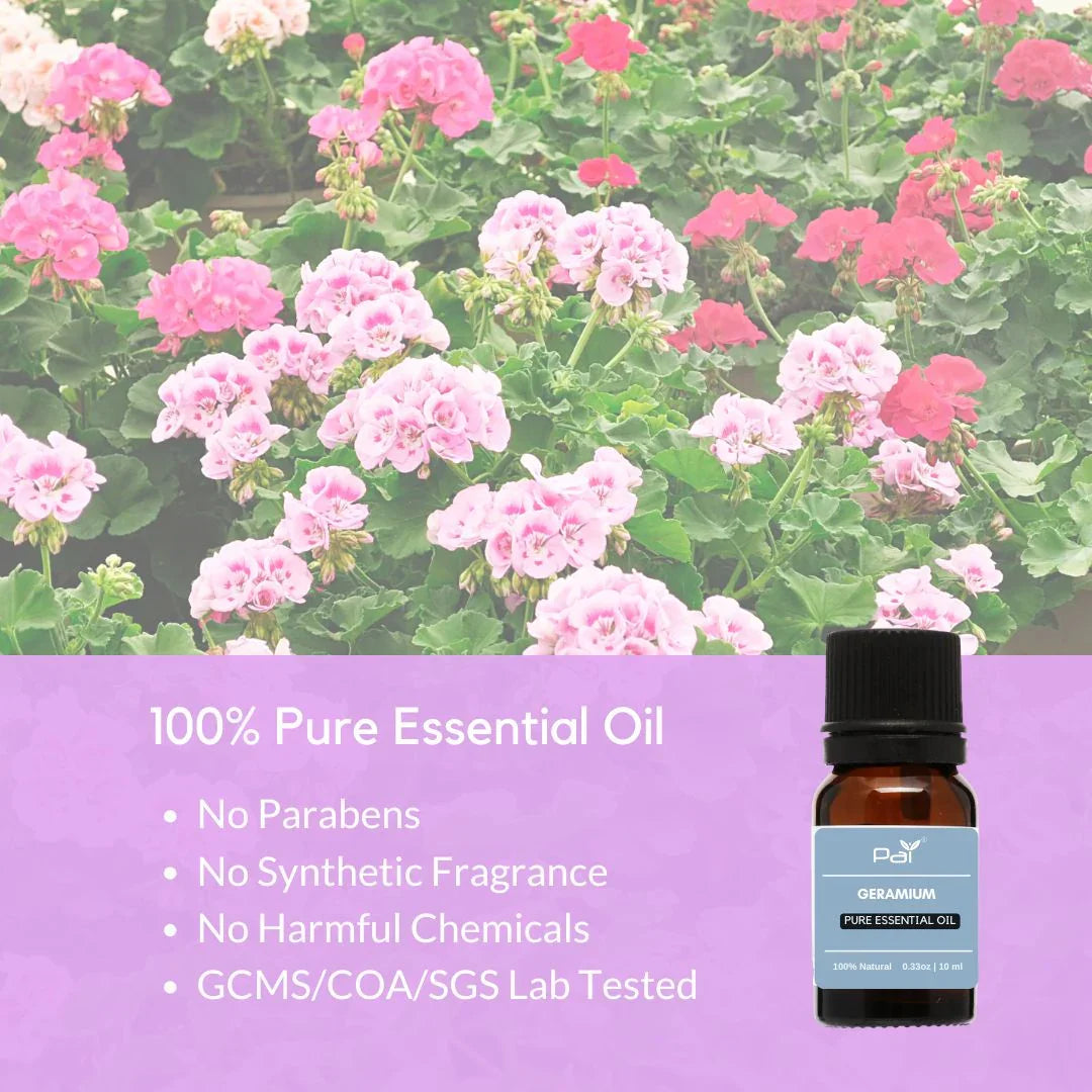 PAI - Geranium Essential Oil